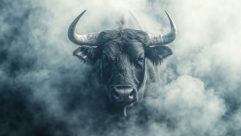 Dow Jones Futures Due Amid Market Rally's First Real Test; SpaceX IPO, Apple, Oracle Ahead